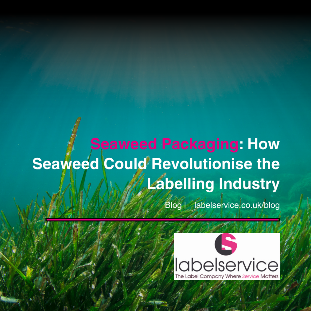 Seaweed Packaging: How Seaweed Could Revolutionise the Labelling ...